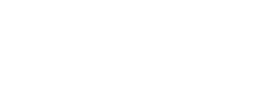 ROAM D.V.S.N.